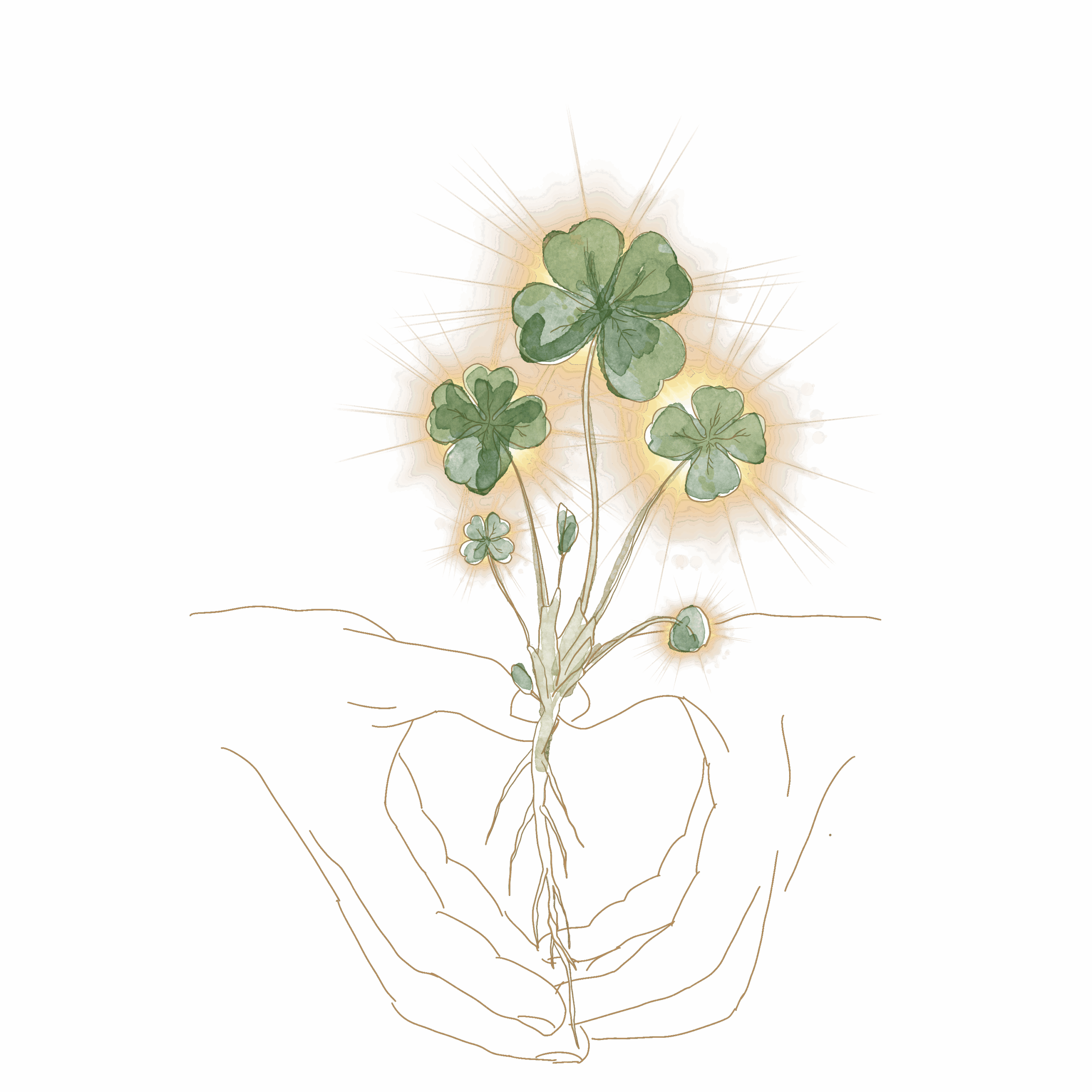 Unbenanntes_Projekt (13)